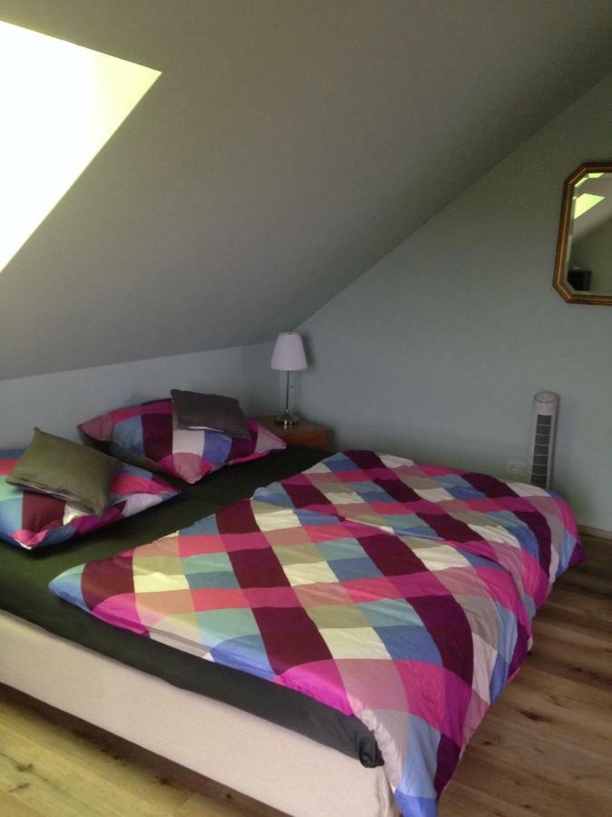 Loreley Bed And Breakfast Bornich ภายนอก รูปภาพ